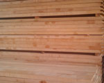 Timber 11