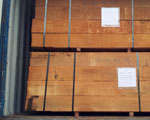 Timber 10