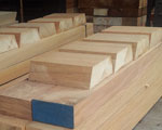 Timber 10