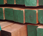 Timber 11